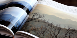 Die besten Smartphones zum Fotografieren